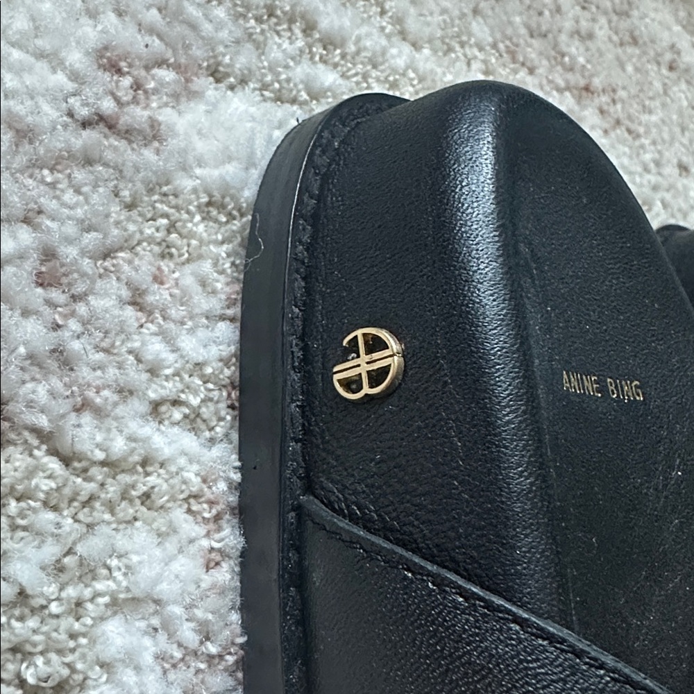 Anine Bing Waylon Slide Size 40 EUC - Picture 12 of 14